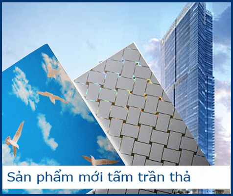 Tấm trần thả nhựa dag